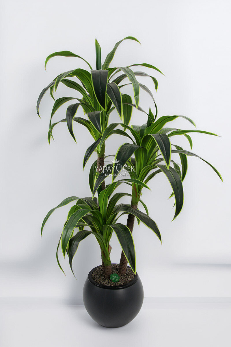 Küre Saksıda Yapay Ağaç 3 gövdeli Cordyline 180 cm Yeşil Sarı