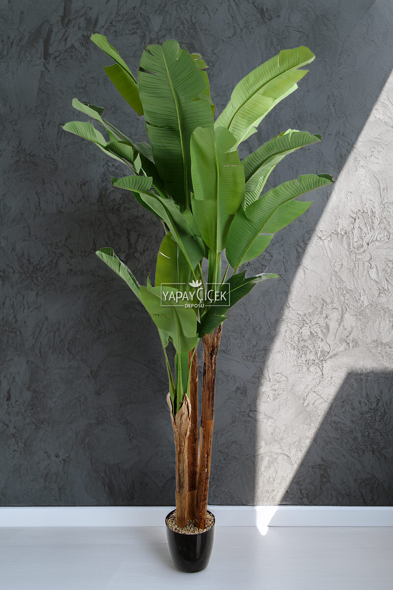 Yapay Ağaç 3 Gövde Tropik 22 Yapraklı Muz Gerçek Doku 240 cm Yapay Ağaç 3 Gövde Tropik 22 Yapraklı Muz Gerçek Doku 240 cm