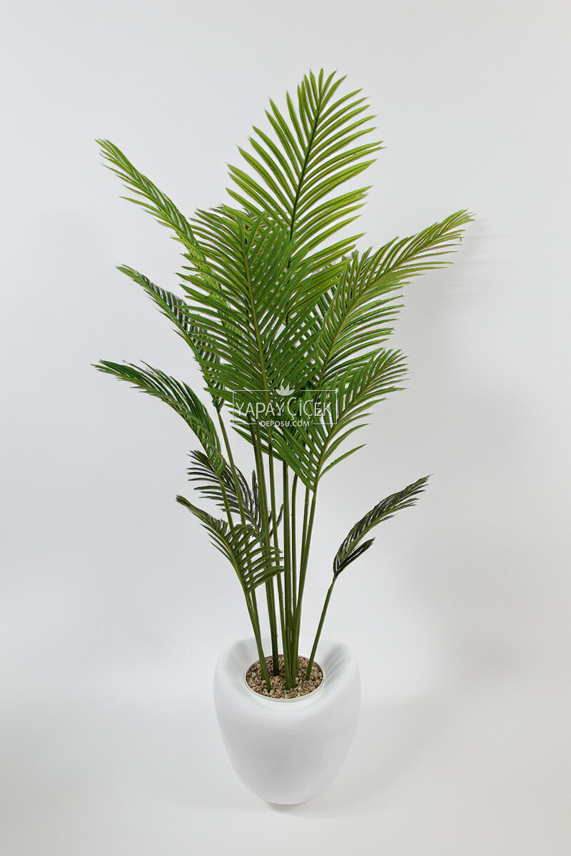 Yapay Ağaç Dinazor Yumurtası Saksıda Areka Palmiye Ağacı 205 cm Beyaz Yapay Ağaç Dinazor Yumurtası Saksıda Areka Palmiye Ağacı 205 cm Beyaz