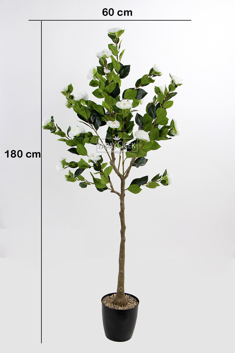 Yapay Premium Gül Ağacı 170 cm Beyaz Yapay Premium Gül Ağacı 170 cm Beyaz