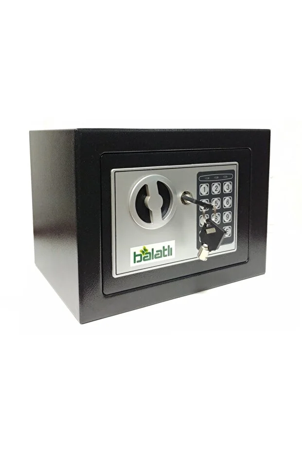 Şifreli Para Kasası Orta Boy