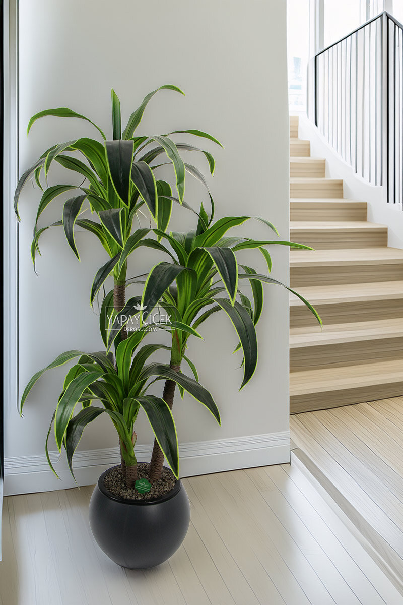 Küre Saksıda Yapay Ağaç 3 gövdeli Cordyline 180 cm Yeşil Sarı
