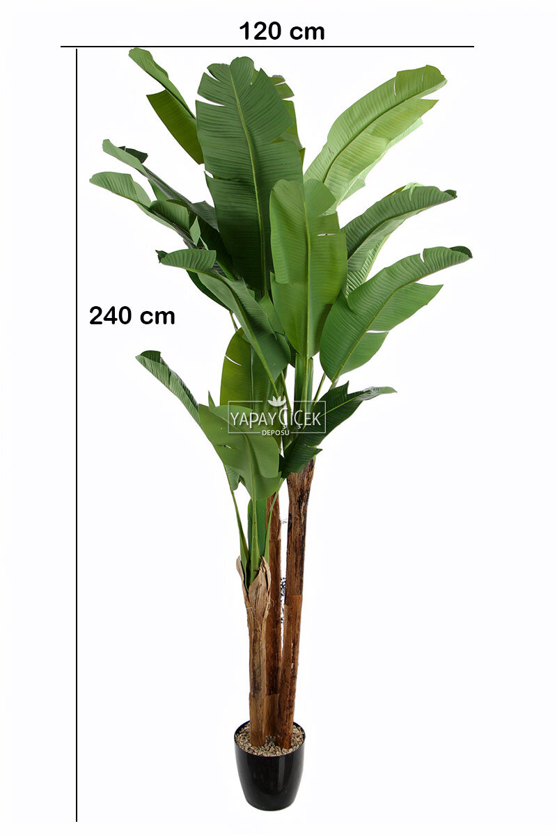 Yapay Ağaç 3 Gövde Tropik 22 Yapraklı Muz Gerçek Doku 240 cm Yapay Ağaç 3 Gövde Tropik 22 Yapraklı Muz Gerçek Doku 240 cm