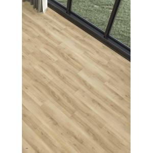 Bella Parke - Frezya