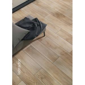 Marcopolo Parke - Labrador