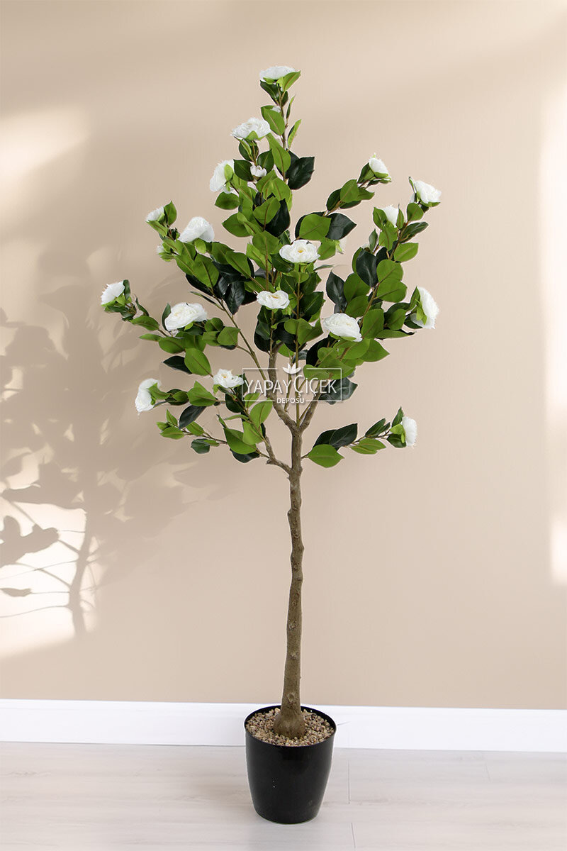 Yapay Premium Gül Ağacı 170 cm Beyaz Yapay Premium Gül Ağacı 170 cm Beyaz